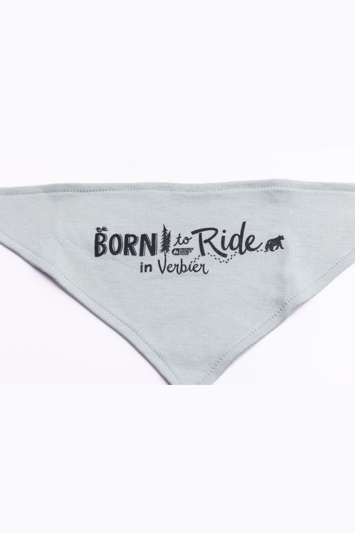 FWT Baby Bibs